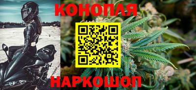 индика Кунгур