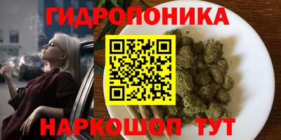 индика Кунгур