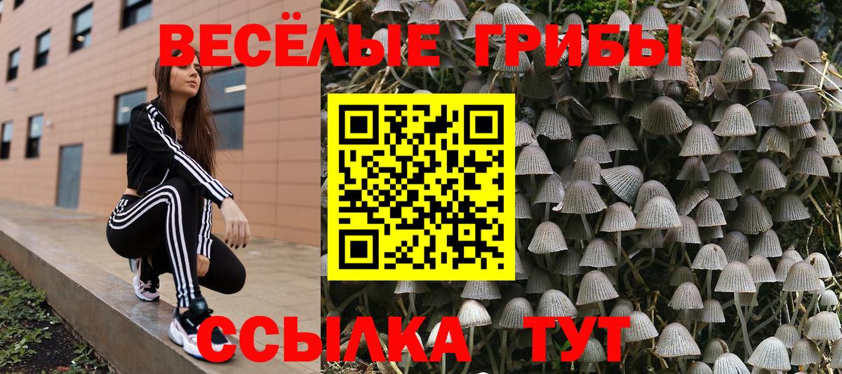 Псилоцибиновые грибы Magic Shrooms Будённовск