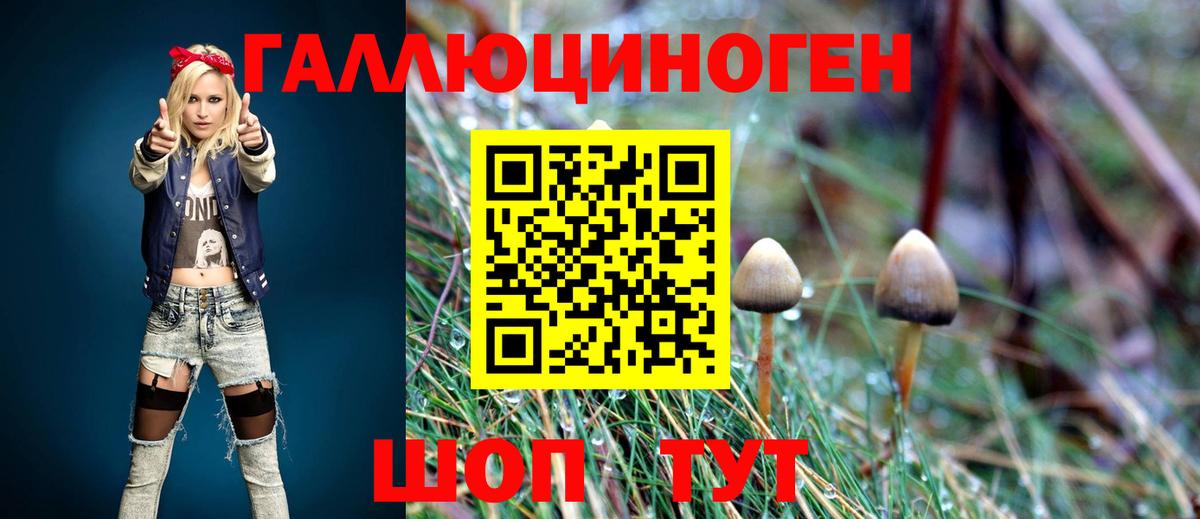 Псилоцибиновые грибы Magic Shrooms  Вход с VPN  Будённовск 